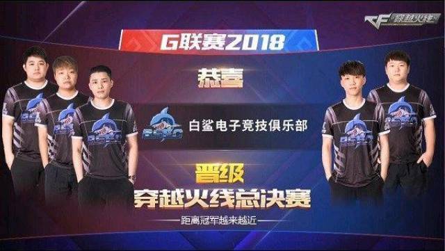 合表态